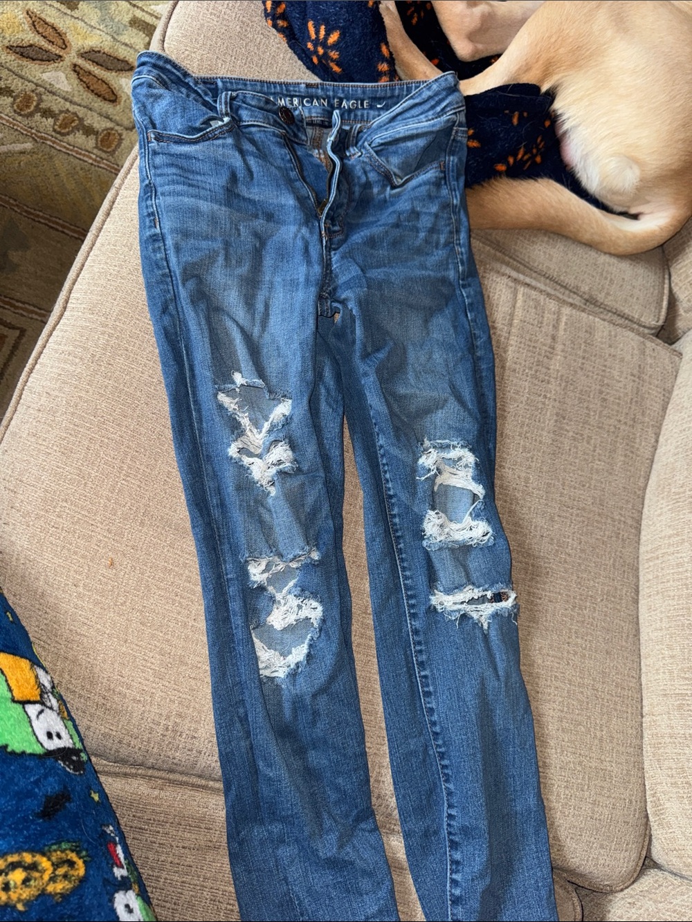 American Eagle Outfitters Ripped Skinny Jeans - Medium Blue